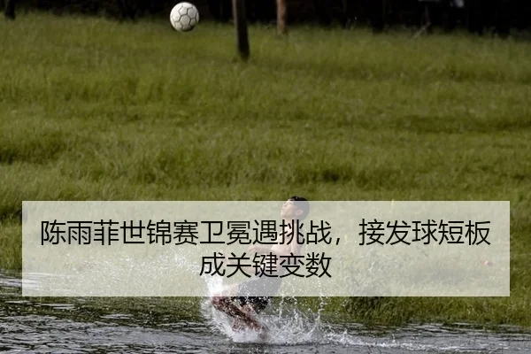 陈雨菲世锦赛卫冕遇挑战，接发球短板成关键变数